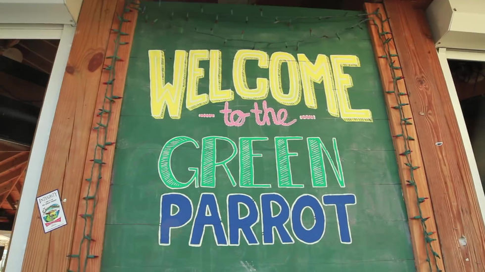 The Green Parrot - Harbour Front