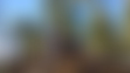 LEVN, the Lutheran Episcopal Volunteer Network, is looking for young adults...