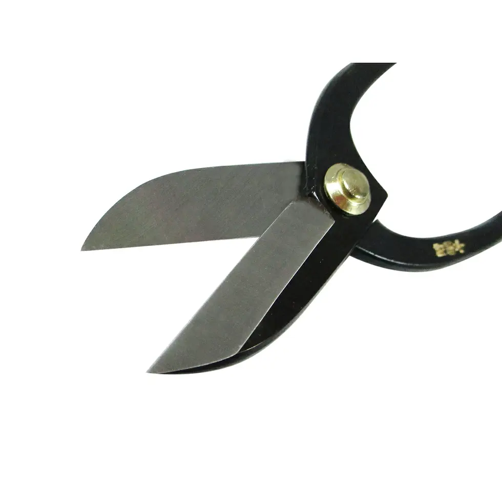 Miniatura: cesoia giapponese per ikebana