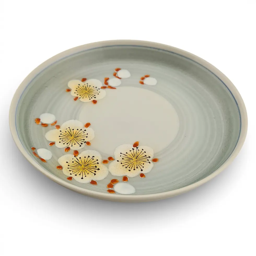 Miniatura: piattini giapponesi