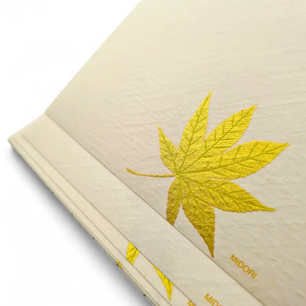 Miniatura: carta da lettere block notes giapponese