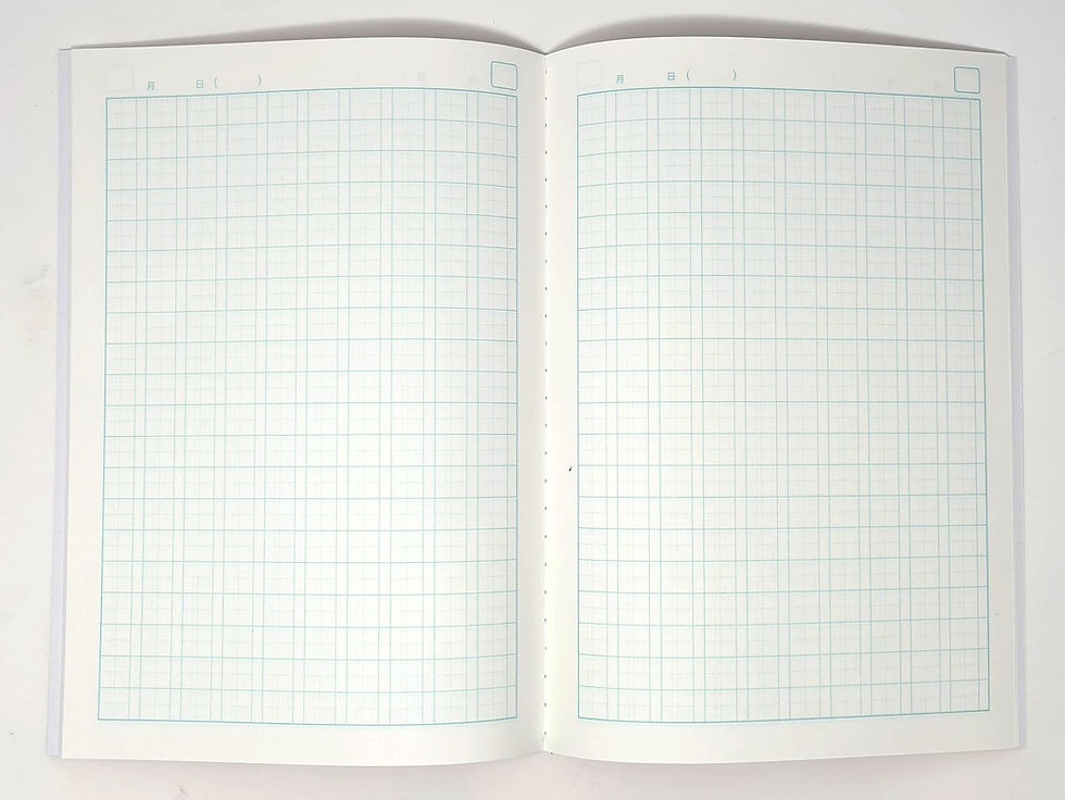 Miniatura: quaderno scrittura giapponese pagine