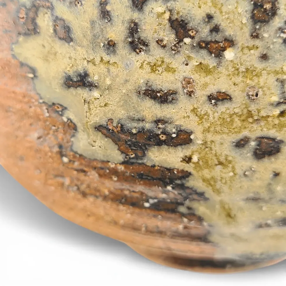 Miniatura: tazza da cerimonia giapponese chawan shiragaki