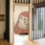 tenda noren giapponese daruma