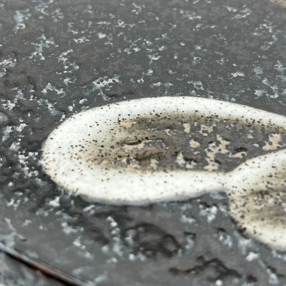 Miniatura: set piatti giapponesi