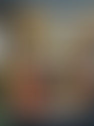 “Regali di Luce: L’Incanto del Giappone a Dicembre”