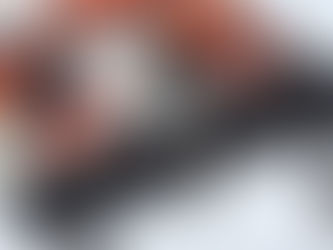 がま口 GAMAGUCHI: LE BORSE A BOCCA DI RANA