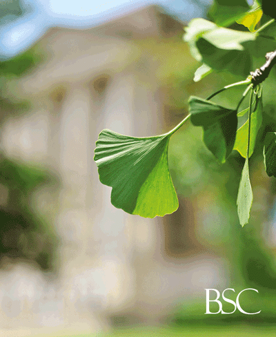 Gingko Gif