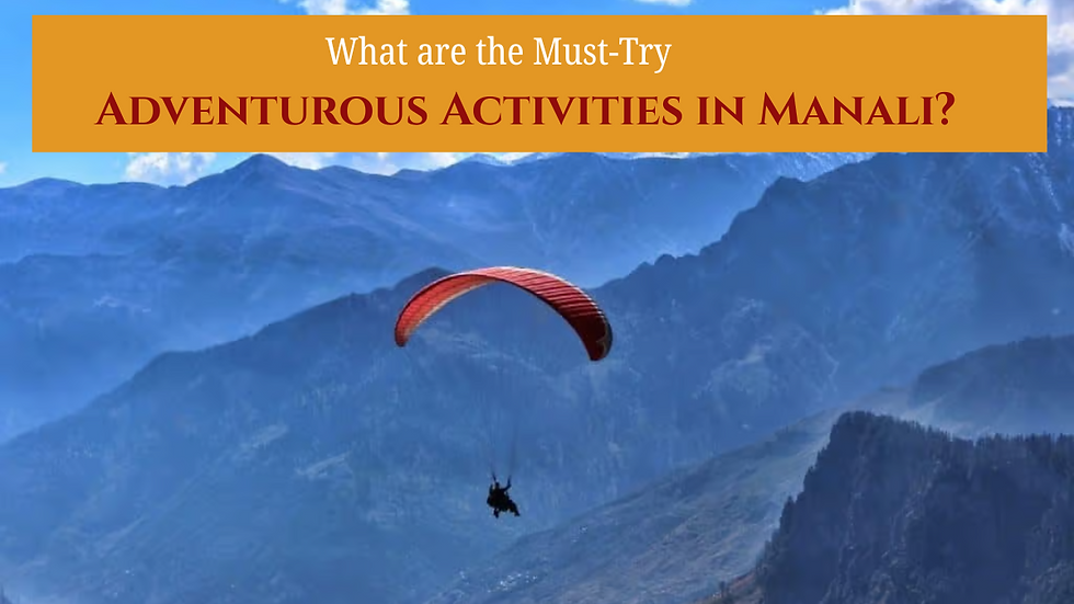 Activities in Manali