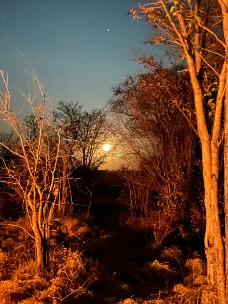 F705355B-877D-45F7-AC26-687BEEF7148C_1_105_c