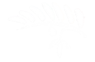 olive_branch_white_reverse.png
