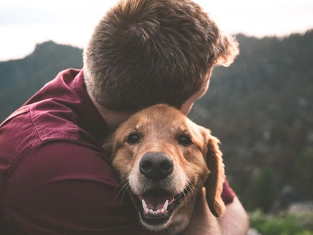 Cos’è la pet therapy e che benefici ha sulla salute di grandi e piccini?