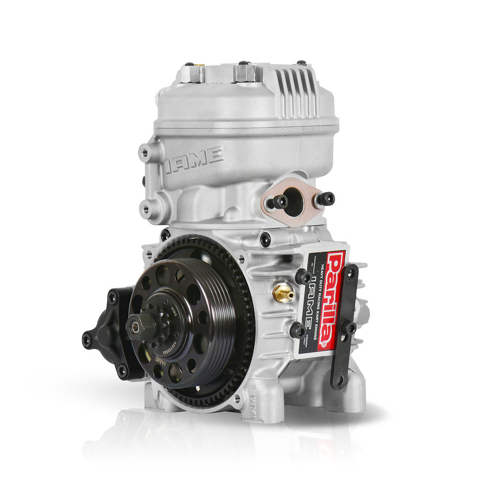 Miniatura: IAME X30 WATER SWIFT