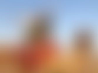 Ultimate Guide to Dubai Desert Safari: Everything You Need to Know