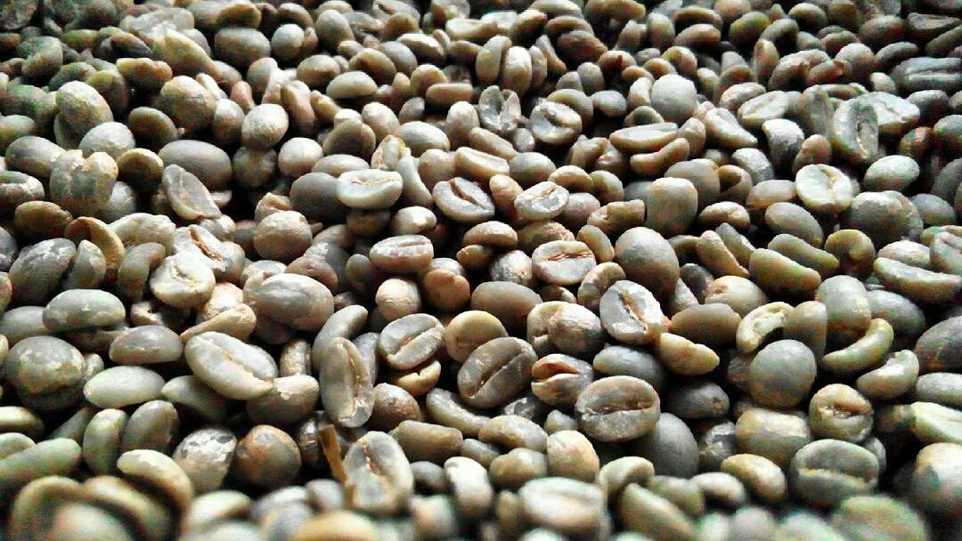 Sumatera Minang Robusta Grade 2