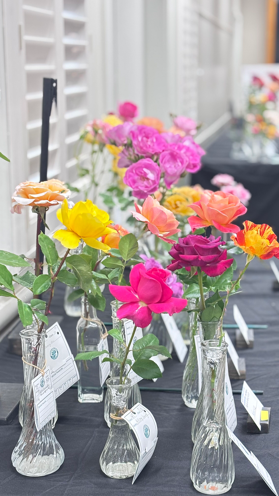 2026 Rose & Rose Arrangement Show