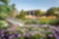 botanical-gardens-flowers.jpg