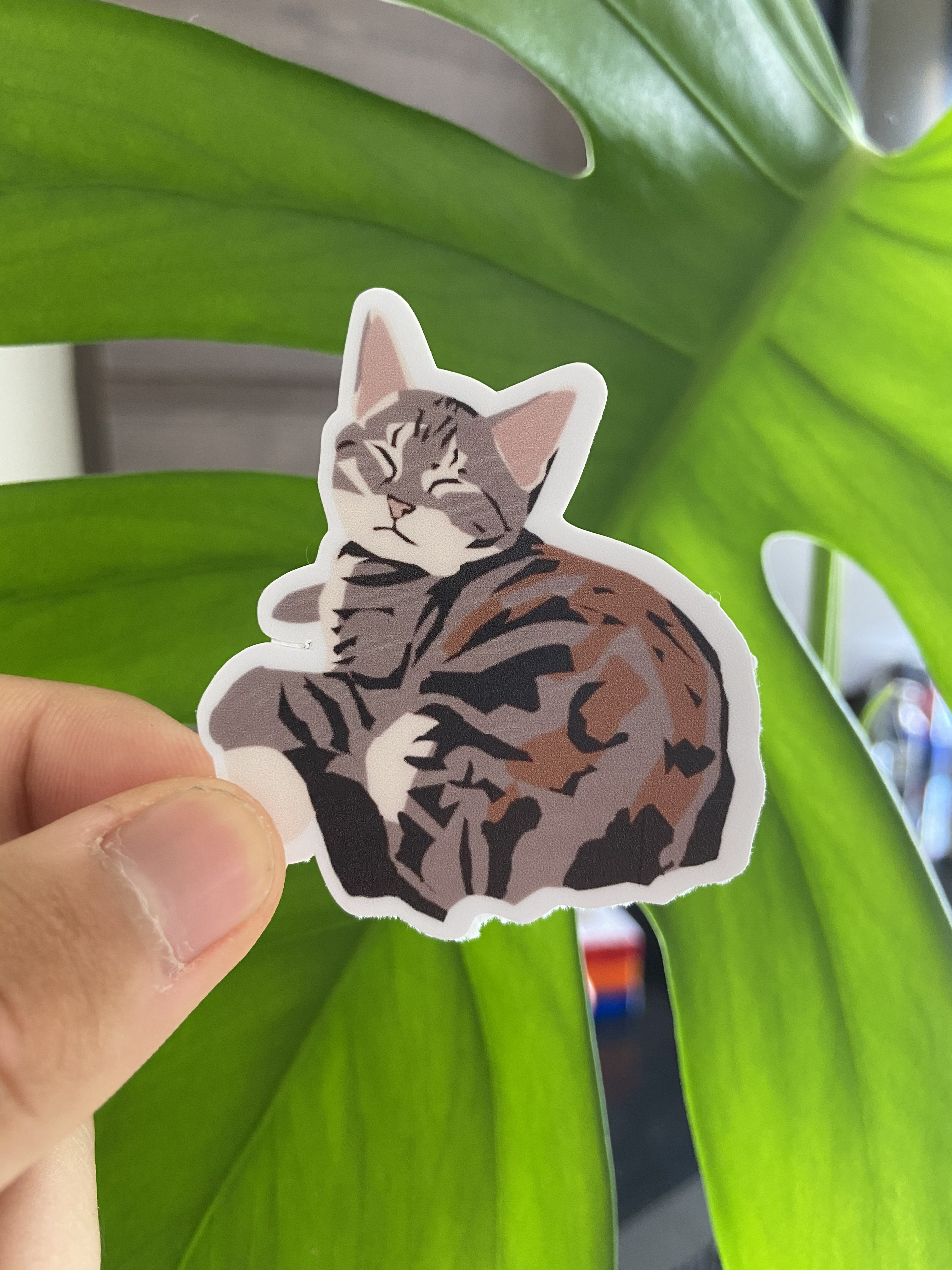 Gatinho Nanando