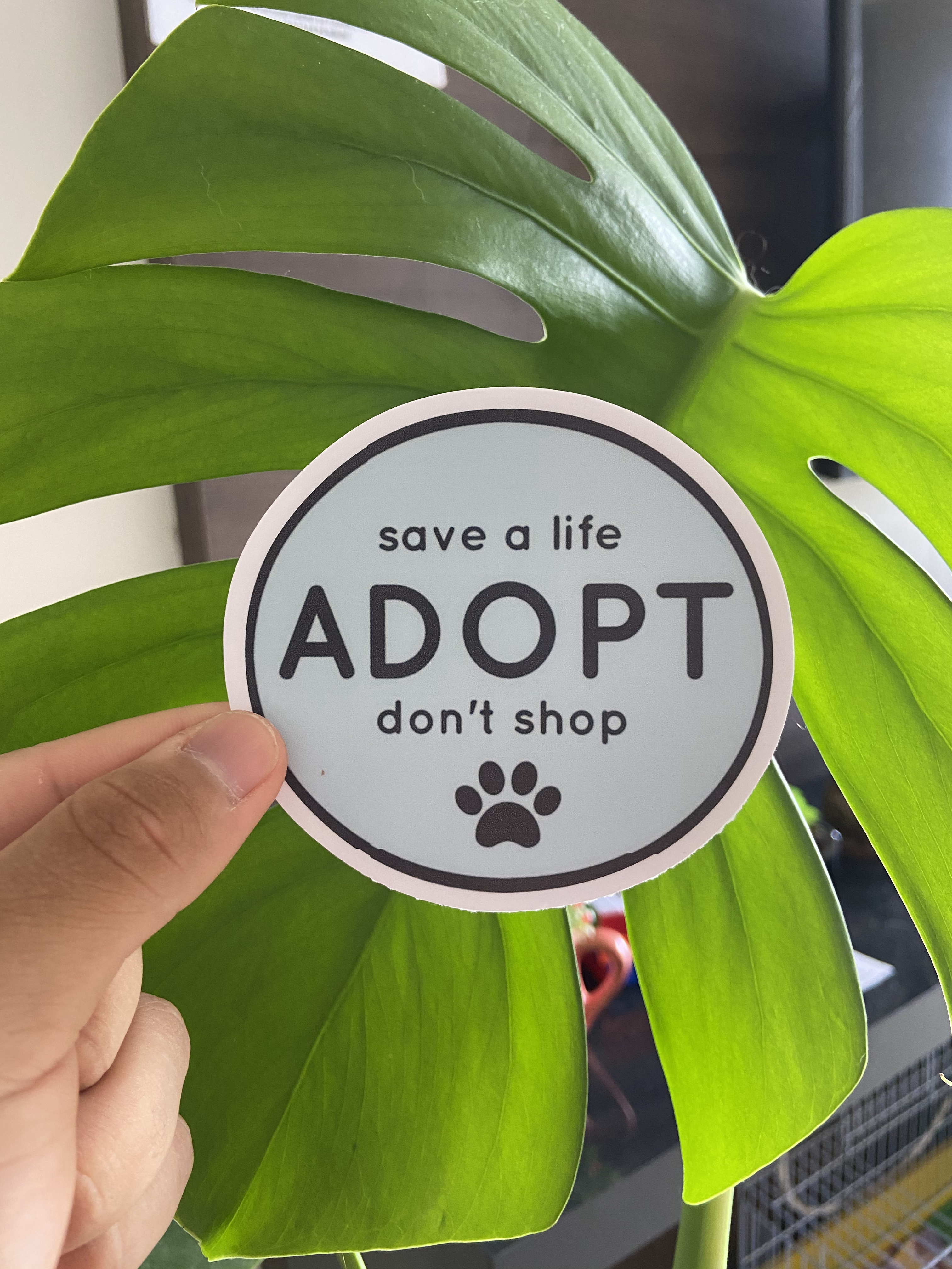 Save a Life, ADOPT, Don't Shop