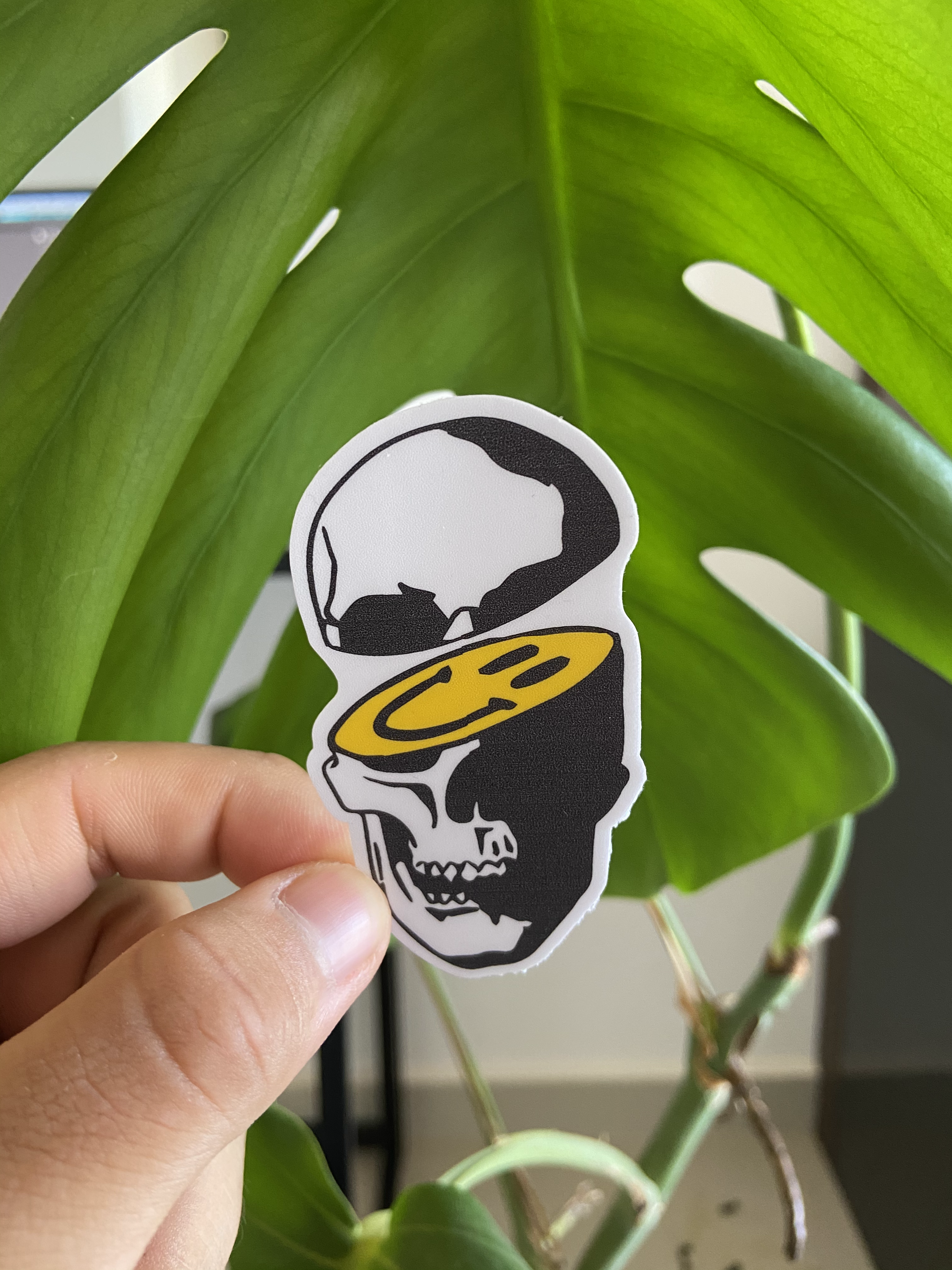 Happy Skull