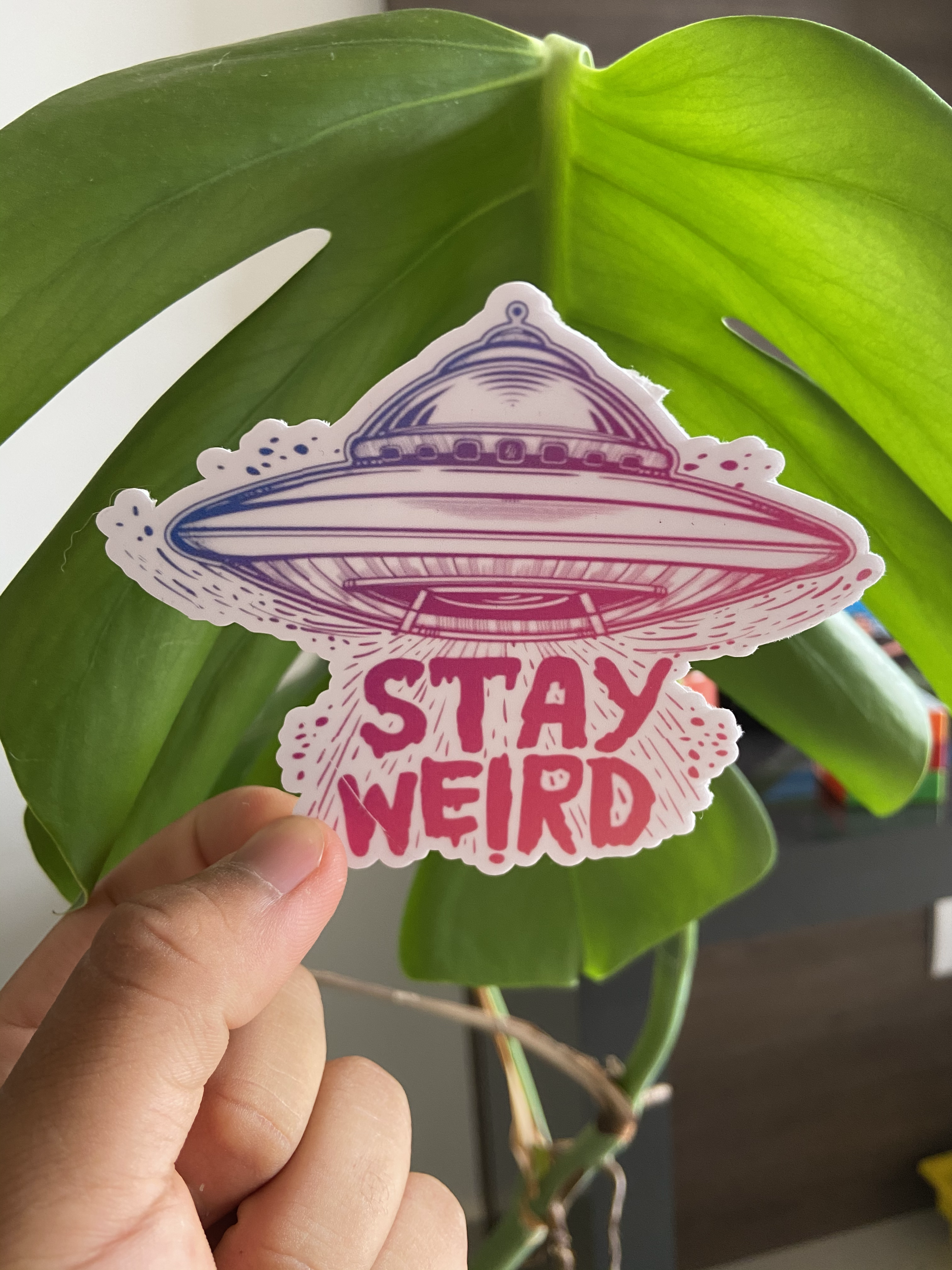 Stay Weird