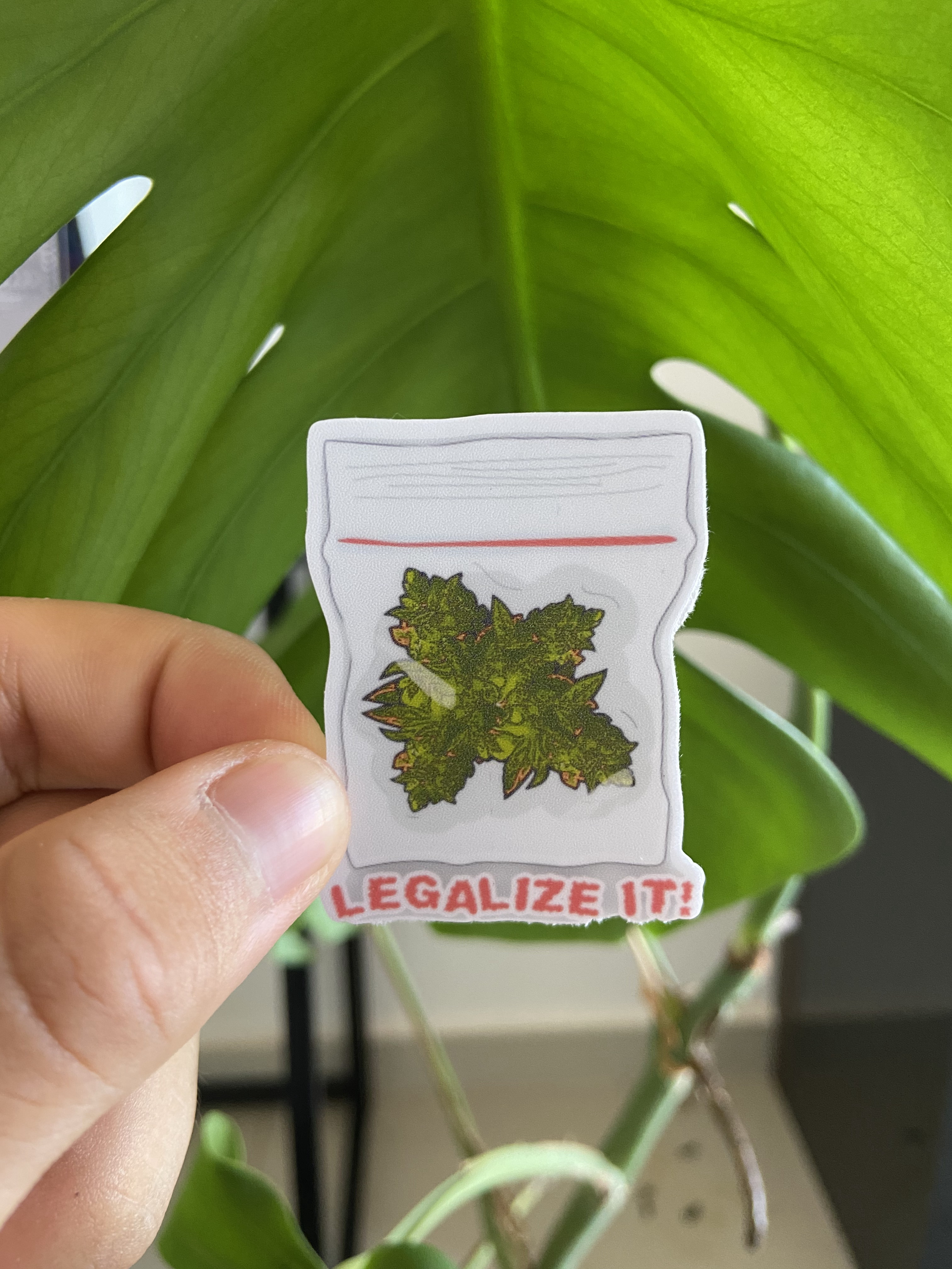 Legalize It
