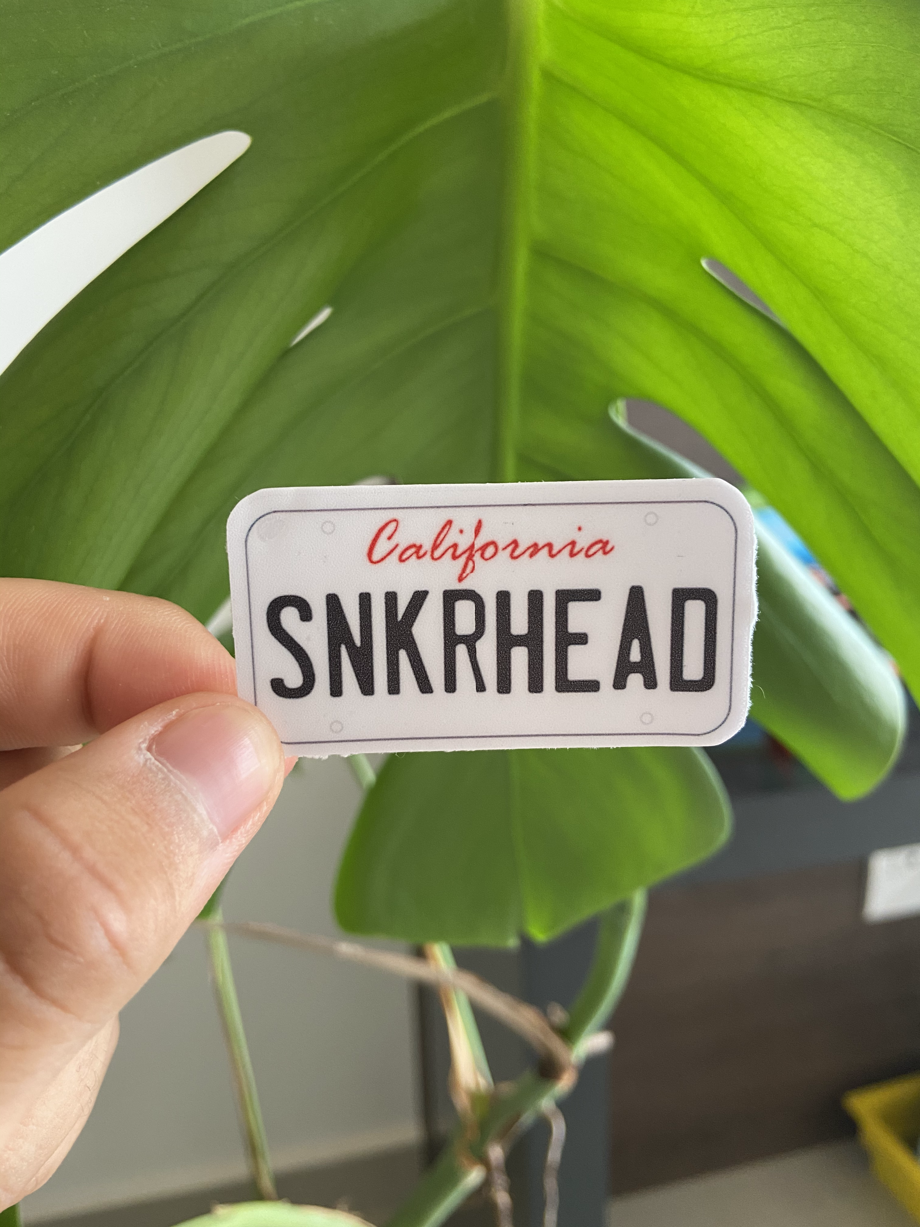 SNKRHEAD