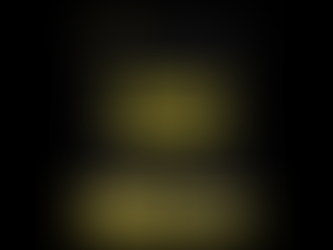 Newsletter Noviembre 2025