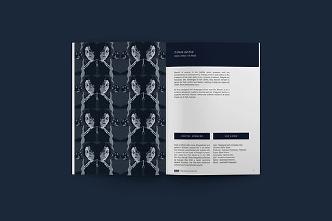 Thesis Website Pg 5.jpg