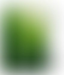 2025 G&M 「春华秋实」拾光感恩音乐会 暨全球华语朗诵大赛颁奖典礼