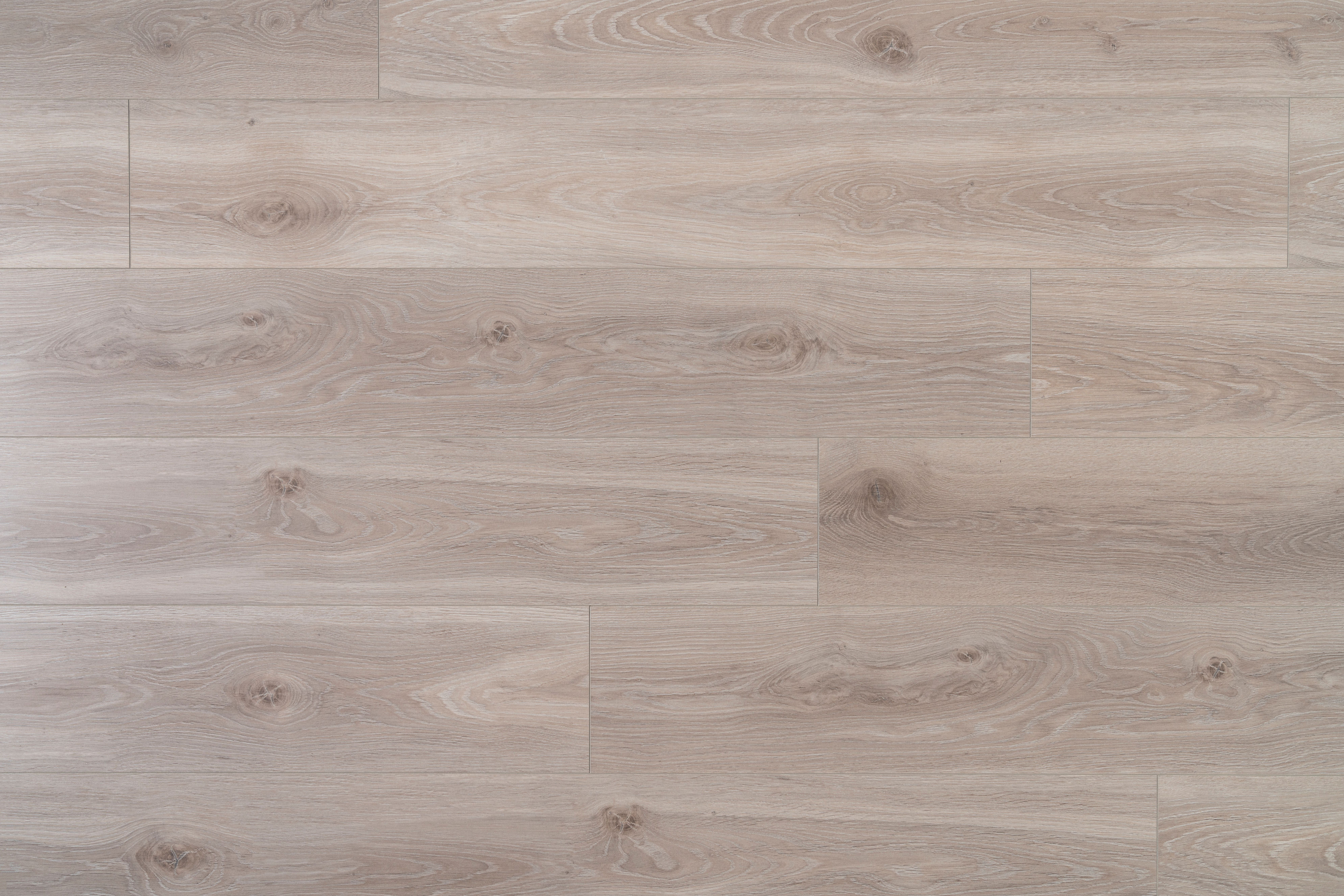 62001185 溫莎淺橡