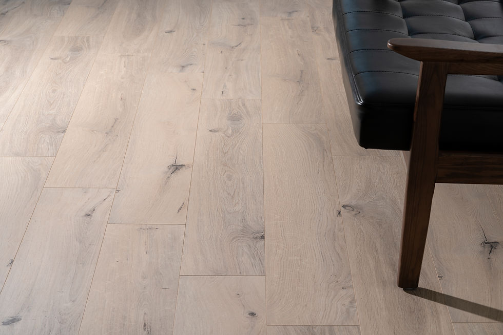 縮圖：62001214 卡爾原橡