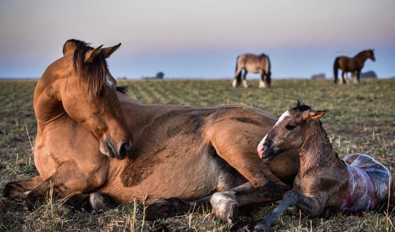 Saboreemos el dolor, que sea el dolor de un parto de una nueva versión de nosotros.