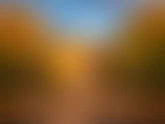 How Could the Autumn Budget Impact Higher Earners?