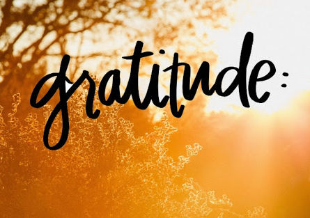 Gratitude: Quarantine Edition 