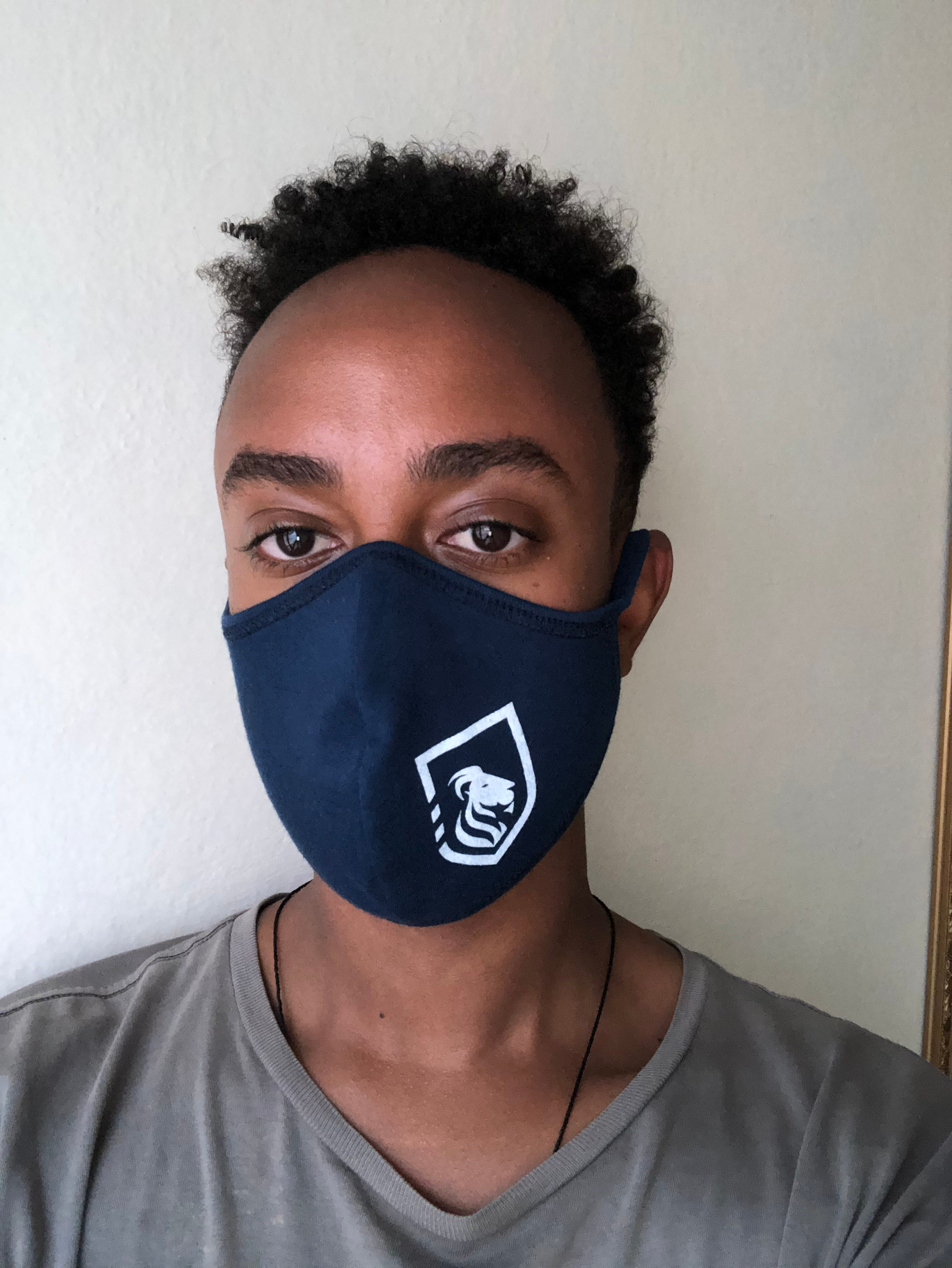 BA Face Mask 1