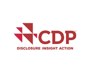 CDP 4.png