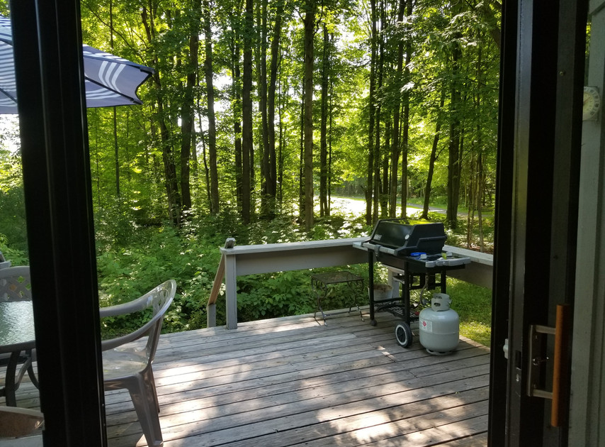 Mountainview Townhouse Vacation Rental Bellaire Michigan