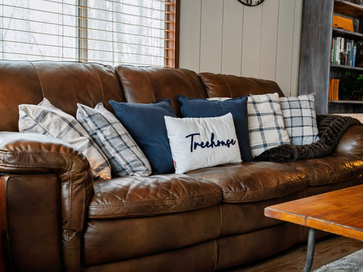 Comfy leather couches - living area