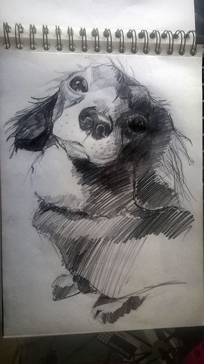 查理.jpg