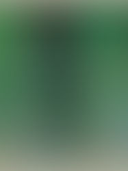 The Green Guides: What Are They and Why Do They Need Updating?