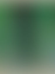 The Green Guides: What Are They and Why Do They Need Updating?