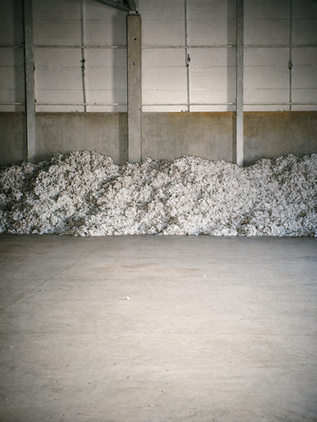 CALIK DENIM FARM TO FABRIC FIELD TRIP: PART 2