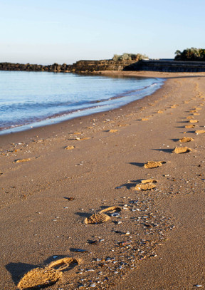 footprints-web.jpeg