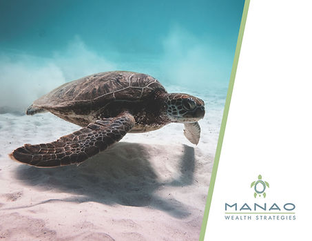 Brand Identity Case Study