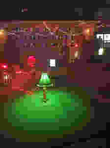 36729