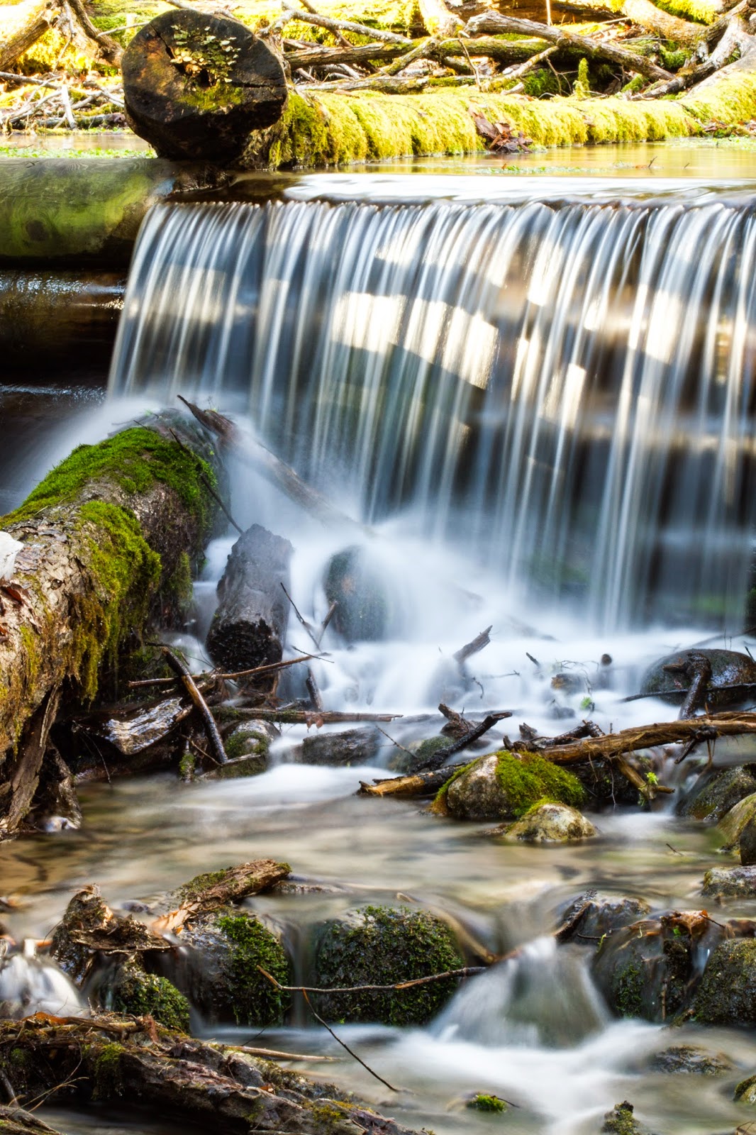 ACTIVITIES Jose Lake Resort South Branch, MI