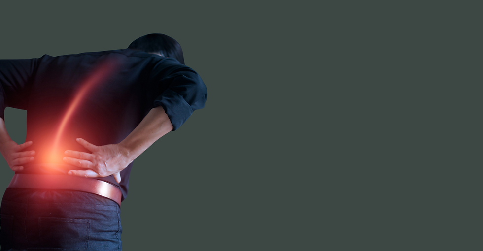 Landing pages (incl $99 pregnancy)(1920 x 1000 px).png