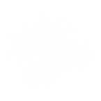 Fireworks 1