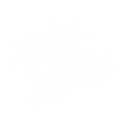 Fireworks 1